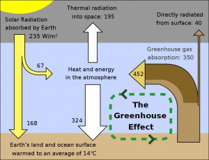 The Greenhouse Effect
